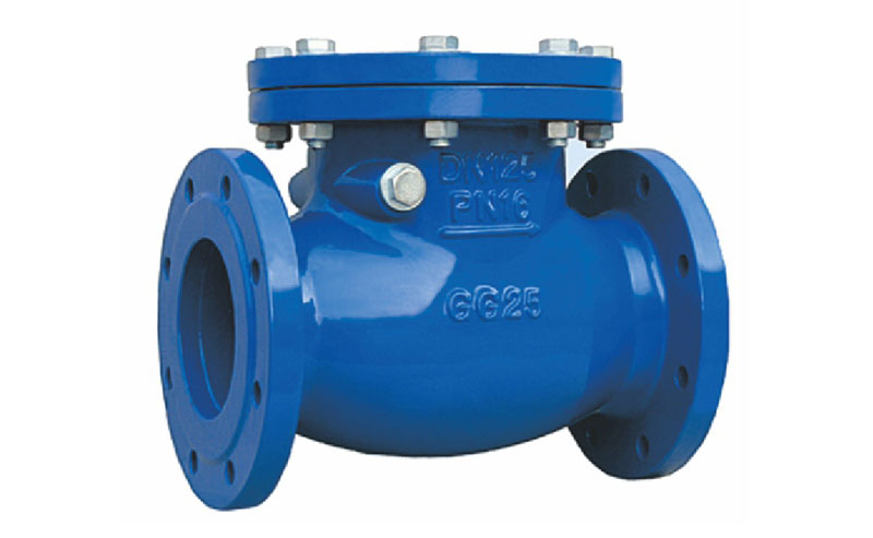 Check valve