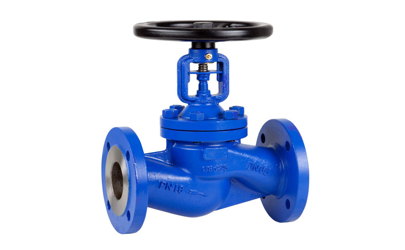 Globe valve